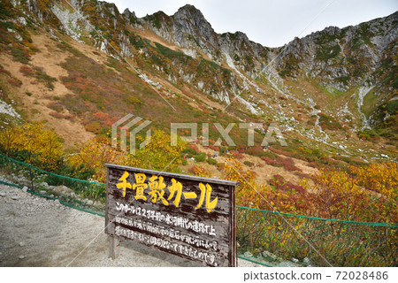 秋葉的Senjyo Kiki捲曲 72028486