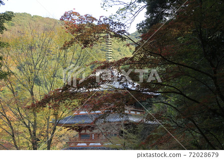 美山市清水山紅葉 72028679