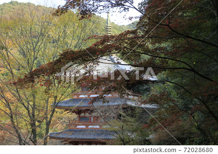 美山市清水山紅葉 72028680