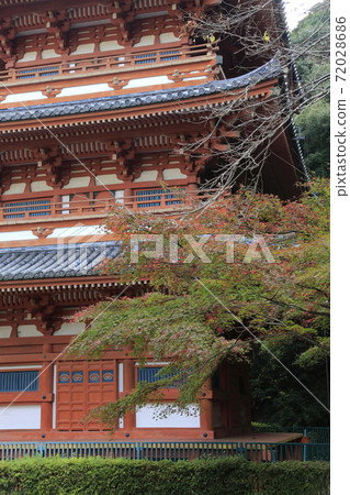 Miyama City Shimizuyama Autumn Leaves, 72028686