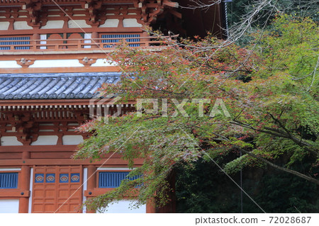Miyama City Shimizuyama Autumn Leaves, 72028687