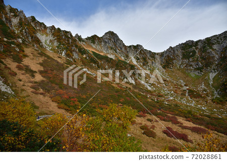 秋葉的Senjyo Kiki捲曲 72028861