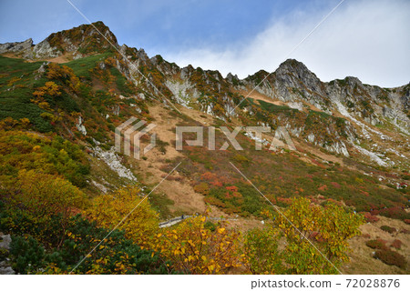 秋葉的Senjyo Kiki捲曲 72028876