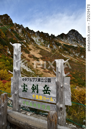 秋葉的Senjyo Kiki捲曲 72029478