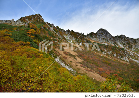 秋葉的Senjyo Kiki捲曲 72029533