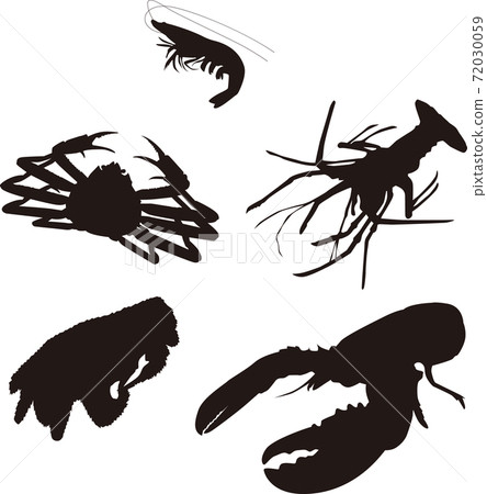 海鮮殼圖集合 72030059