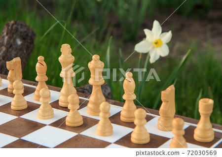 Chess board with white chess pieces in green background. Chess board with white chess pieces in green background. 72030569