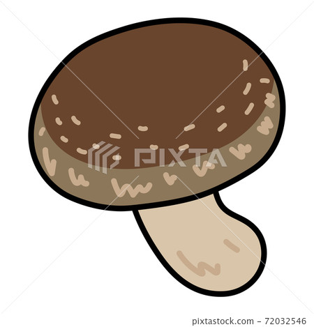 1 shiitake mushroom cut illustration material / shiitake mushroom 72032546