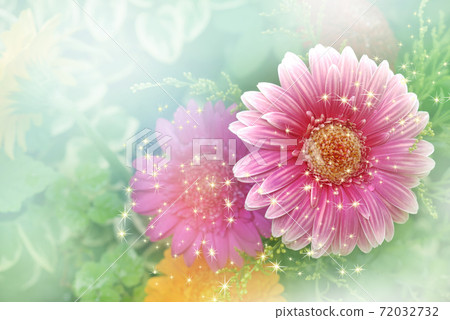 陽光穿過樹林的非洲菊特寫 陽光穿過樹林的非洲菊特寫 72032732