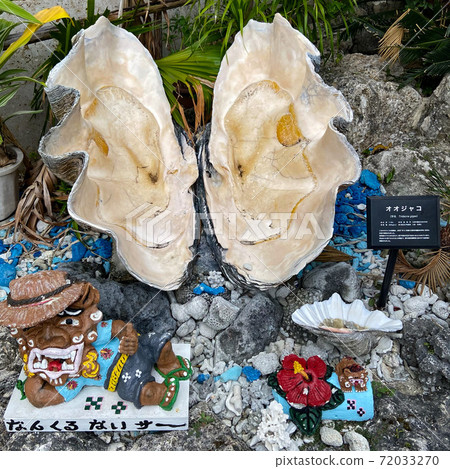 Ojako seen on Ishigaki Island Ojako seen on Ishigaki Island 72033270