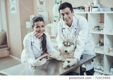 Two veterinarians look at the camera.  72033460