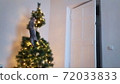 A cute playful cat climbed into the Christmas tree. 72033833