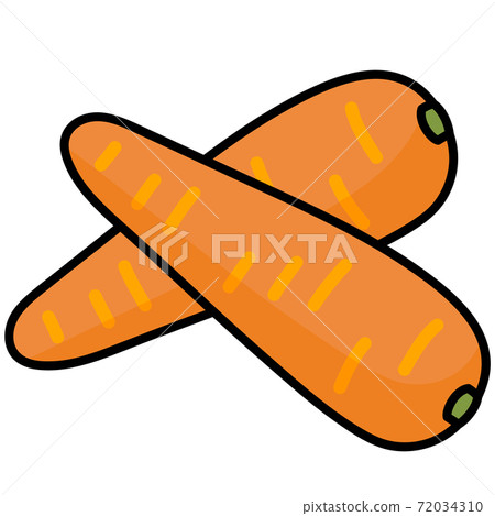 2 carrots cut illustration material / carrot / carrot 2 carrots cut illustration material / carrot / carrot 72034310