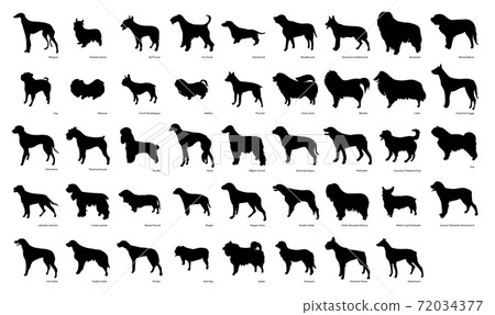 Cute dog breeds pedigree vector illustration set - Stock Illustration ...