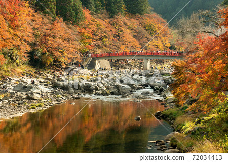 Korankei ・秋天的形象・ 11月 72034413