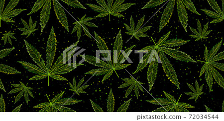 Cannabis Leaves. Seamless Pattern for your design Cannabis Leaves. Seamless Pattern for your design 72034544