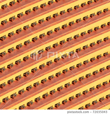 Many Honey Bees are standing at the entrance to the apiary.  72035043