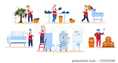 Wine making process stages a set of vector... - Stock Illustration ...
