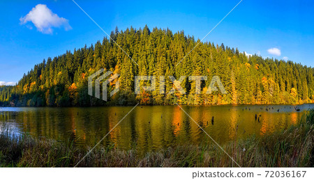 Nature landscape at Romania Lacu Rosu 72036167