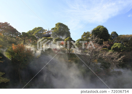 椿山莊東京花園酒店 72036754