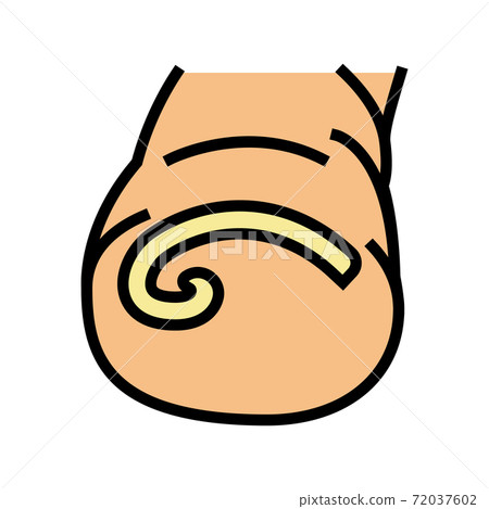 curved nail color icon vector illustration curved nail color icon vector illustration 72037602