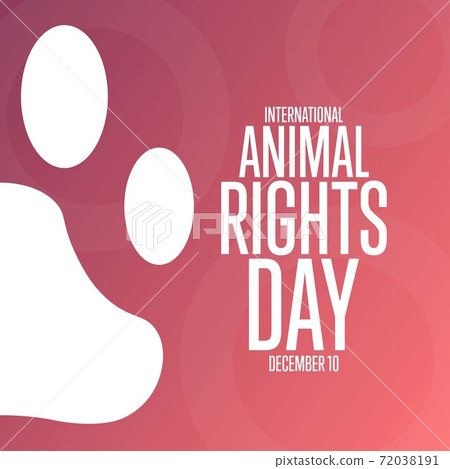 International Animal Rights Day. December 10. Holiday concept. Template for background, banner, card International Animal Rights Day. December 10. Holiday concept. Template for background, banner, card 72038191