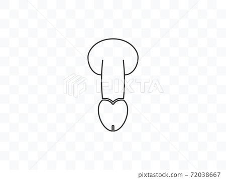 Health, penis icon. Vector illustration, flat design. Health, penis icon. Vector illustration, flat design. 72038667