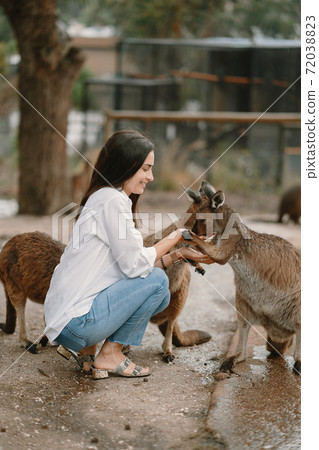Woman in the reserve is playing with a kangaroo Woman in the reserve is playing with a kangaroo 72038823