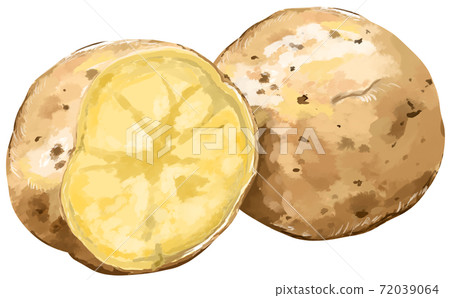 馬鈴薯截面實圖 72039064