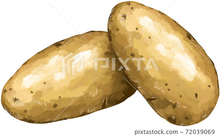 2個馬鈴薯插圖 72039069