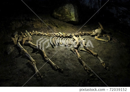 Skeleton of an ancient animal in a Mammoth cave in the Republic of Crimea, Russia. October 2, 2020 Skeleton of an ancient animal in a Mammoth cave in the Republic of Crimea, Russia. October 2, 2020 72039152