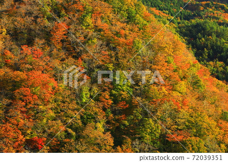 Geto Kogen in autumn colors Geto Kogen in autumn colors 72039351