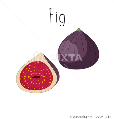 Purple fig, whole fruit and half in cartoon style. Purple fig, whole fruit and half in cartoon style. 72039718