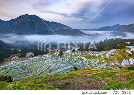 Maruyama Senjita在清晨 Maruyama Senjita在清晨 72040598