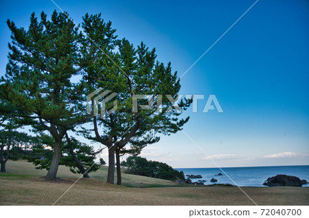 秋季陽光物種差異海岸 72040700