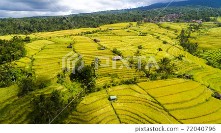 Amazing Rice Terraces on the Bali Island 72040796