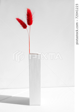 White box for cosmetic bottle with dry red bunny tail grasses natural light 72041223