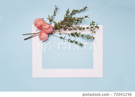 White frame with pink roses flowers on blue paper background  72041256