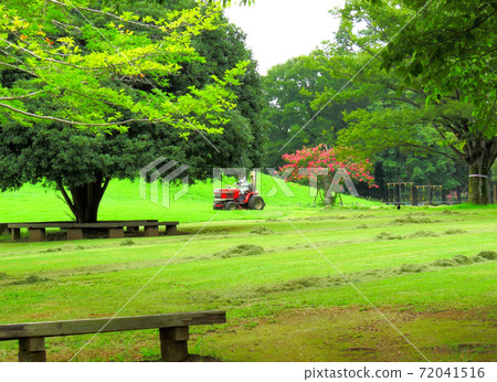 End of summer park End of summer park 72041516