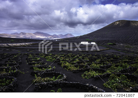 The Wine Valley of La Geria - Lanzarote, Spain The Wine Valley of La Geria - Lanzarote, Spain 72041807