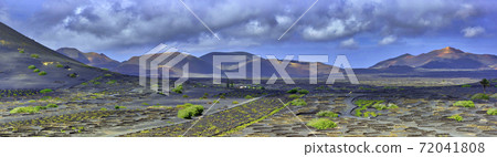 The Wine Valley of La Geria - Lanzarote, Spain 72041808