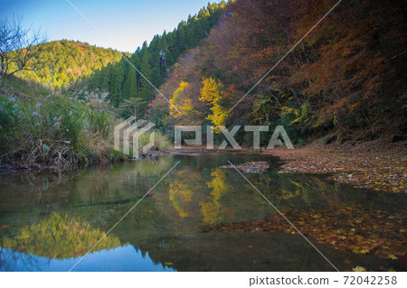 Autumn leaves coloring the valley (Otani Valley, Kusu Town, Oita Prefecture) 72042258