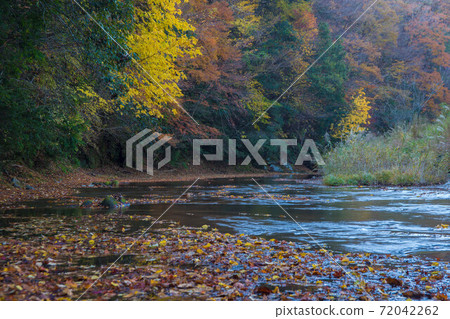 Autumn leaves coloring the valley (Otani Valley, Kusu Town, Oita Prefecture) Autumn leaves coloring the valley (Otani Valley, Kusu Town, Oita Prefecture) 72042262