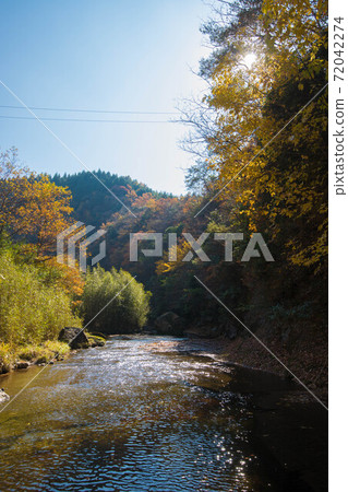 Autumn leaves coloring the valley (Otani Valley, Kusu Town, Oita Prefecture) 72042274