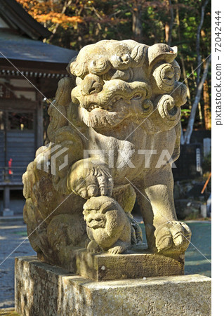 Chichibu / Nagatoro walk: Hodosan Shrine guardian dog Chichibu / Nagatoro walk: Hodosan Shrine guardian dog 72042444