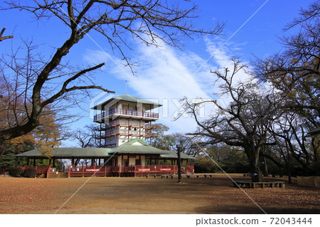 Ikuta Ryokuchi Masugatayama Square and Observatory Autumn 72043444