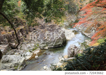 大t神社（下面的犬神河）[滋賀縣多賀町] 72043662
