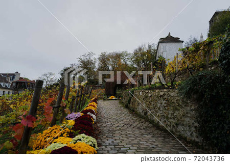 巴黎街角蒙馬特皮加勒 72043736