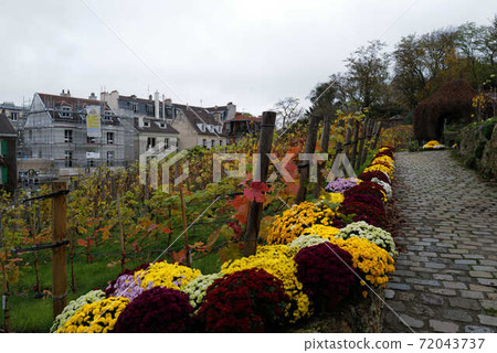 巴黎街角蒙馬特皮加勒 72043737