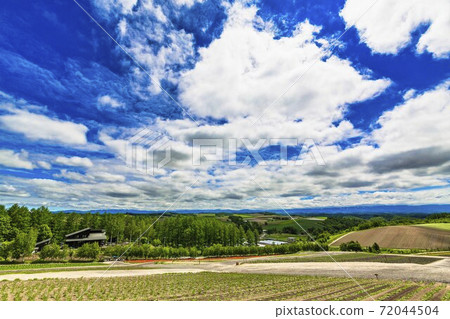 初夏的藍天和北海道美瑛町的四季彩之丘 初夏的藍天和北海道美瑛町的四季彩之丘 72044504